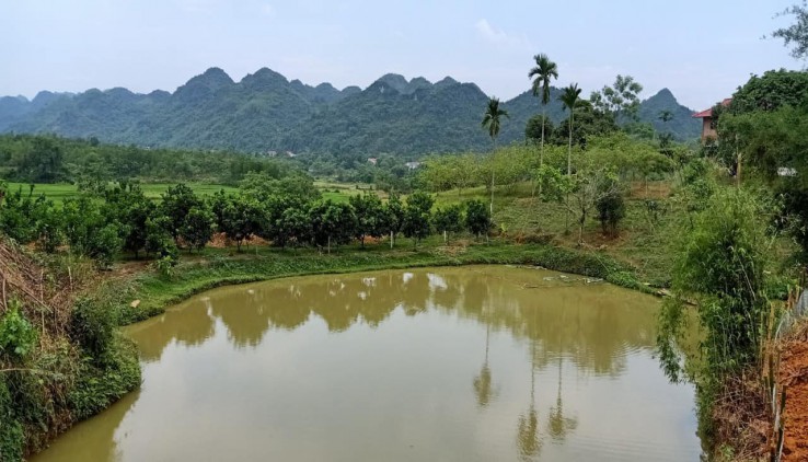 nhanh tay nhanh tay chỉ hơn 400k bạn đã có thể mua dc m2 đất tai kim bôi hòa bình