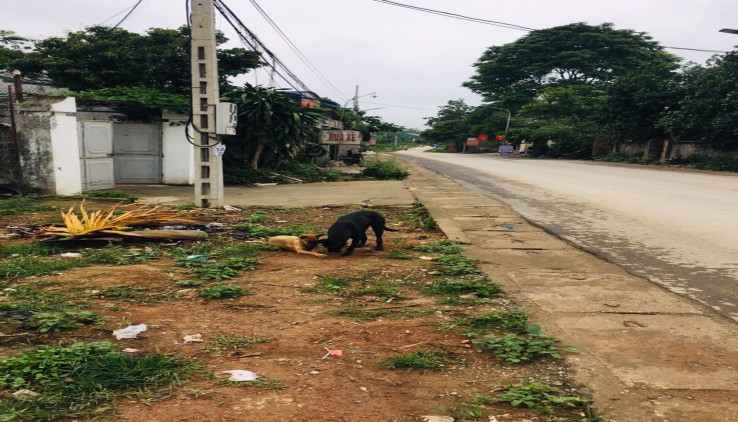 chủ e gửi bán lô đất 340m tại nhuận trạch,đường rộng 10m,xung quanh dân cư đông đúc,gần ủy ban,trường học,cach qlo6-800m,cách hn 40km,pháp lý sạch!!!