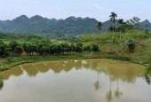 đất kim bôi chỉ 470k 1m2 thôi ạ nhanh tay để sở hữu e nó nhé