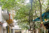 KD, Ô TÔ TRÁNH, Châu Long - Ba Đình, 55M x 5 Tầng, MT 5.3m, Giá 16.8 tỷ.