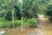 CHỦ NHÀ CẦN TIỀN BÁN GẤP LÔ ĐẤT CAO PHONG - HÒA BÌNH