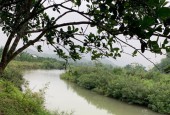 CHÍNH CHỦ GỬI BÁN LÔ ĐẤT KIM BÔI - HÒA BÌNH