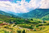 Đất 655m2 Sapa 2, Y Tý cạnh Bến xe, view săn mây, ruộng bậc thang T6/2022