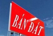 Bán đất thổ cư hẻm xe hơi Trần Não. - phường an khánh - Q2 - TP THỦ ĐỨC.DT = 2660m2 - giá bán = 135tr/m