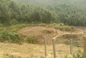 Bán đất cạnh hồ Séo Mý tỷ 2500m2- giá 3,5 tỷ