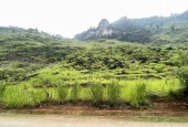 ĐÓN SÓNG ĐẦU TƯ CÔNG CAO TỐC TUYÊN QUANG HÀ GIANG , MỞ BÁN MẢNH ĐẤT ĐƯỜNG QUỐC LỘ 4C THUỘC QUẢN BẠ