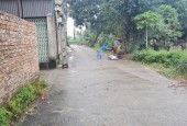 Giá rẻ nhất chính chủ  thanh khoản nhanh 100m Thố Bảo Vân Nội giá đầu tư
