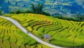 Bán lô đất 4500m2 tại khu đô thị phìn hồ Y Tý  sđt 0988322328