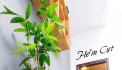 BÁN NHÀ BAO ĐẦU TƯ SIÊU LỢI NHUẬN HẺM XE HƠI ĐẶNG VĂN BI PHƯỜNG BÌNH THỌ QUẬN THỦ ĐỨC 51M2 4 TẦNG BTCT 5 PHÒNG NGỦ KHÉP KÍN NỘI THẤT SIÊU ĐẸP TẶNG