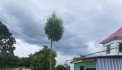 Chính chủ cần bát đấ 172m2, giá 900 triệu bao sổ, chính chủ sđt 0988322328