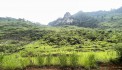 ĐÓN SÓNG ĐẦU TƯ CÔNG CAO TỐC TUYÊN QUANG HÀ GIANG , MỞ BÁN MẢNH ĐẤT ĐƯỜNG QUỐC LỘ 4C THUỘC QUẢN BẠ