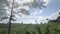 -CẦN BÁN 10345M CÓ 100 THỔ VIEW THOÁNG CẬN KỀ NGHỈ DƯỠNG